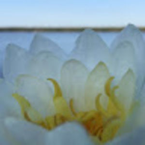 Meet your Posher, Ellie